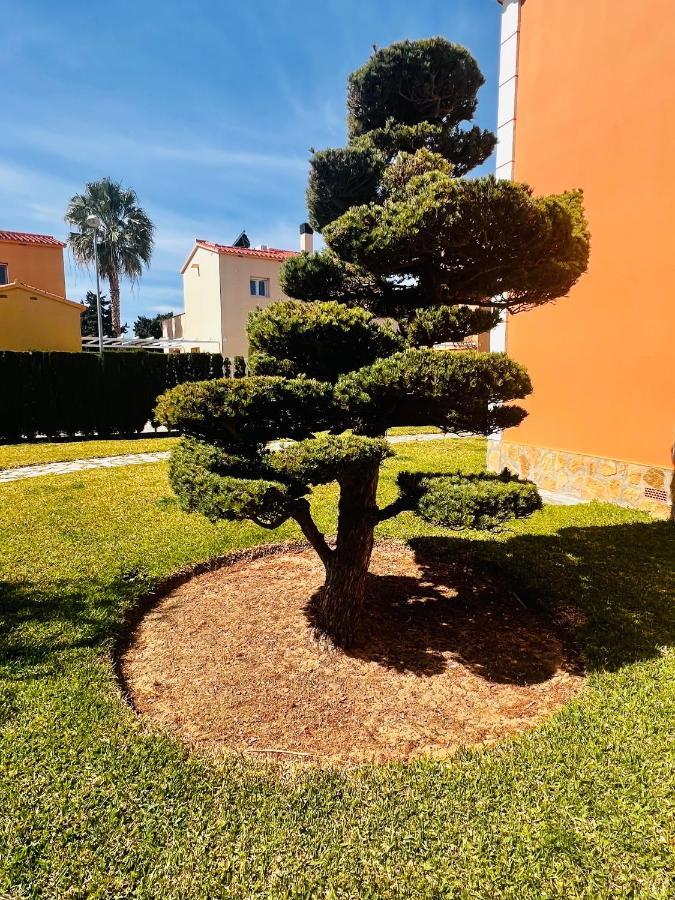 Oliva Nova Beach & Golf Resort Club Sevilla VI 外观 照片